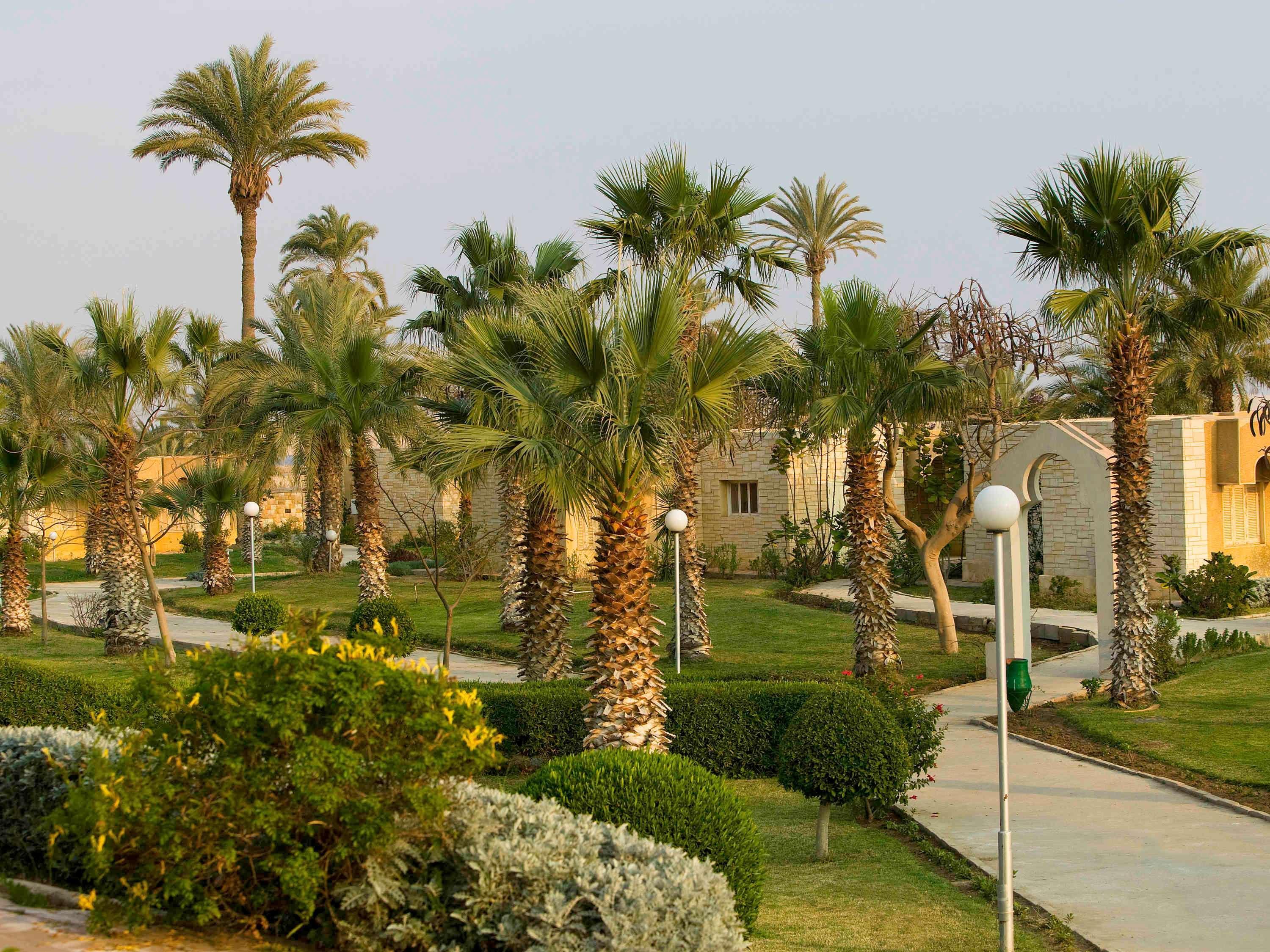 Mercure Ismailia Forsan Island Dış mekan fotoğraf
