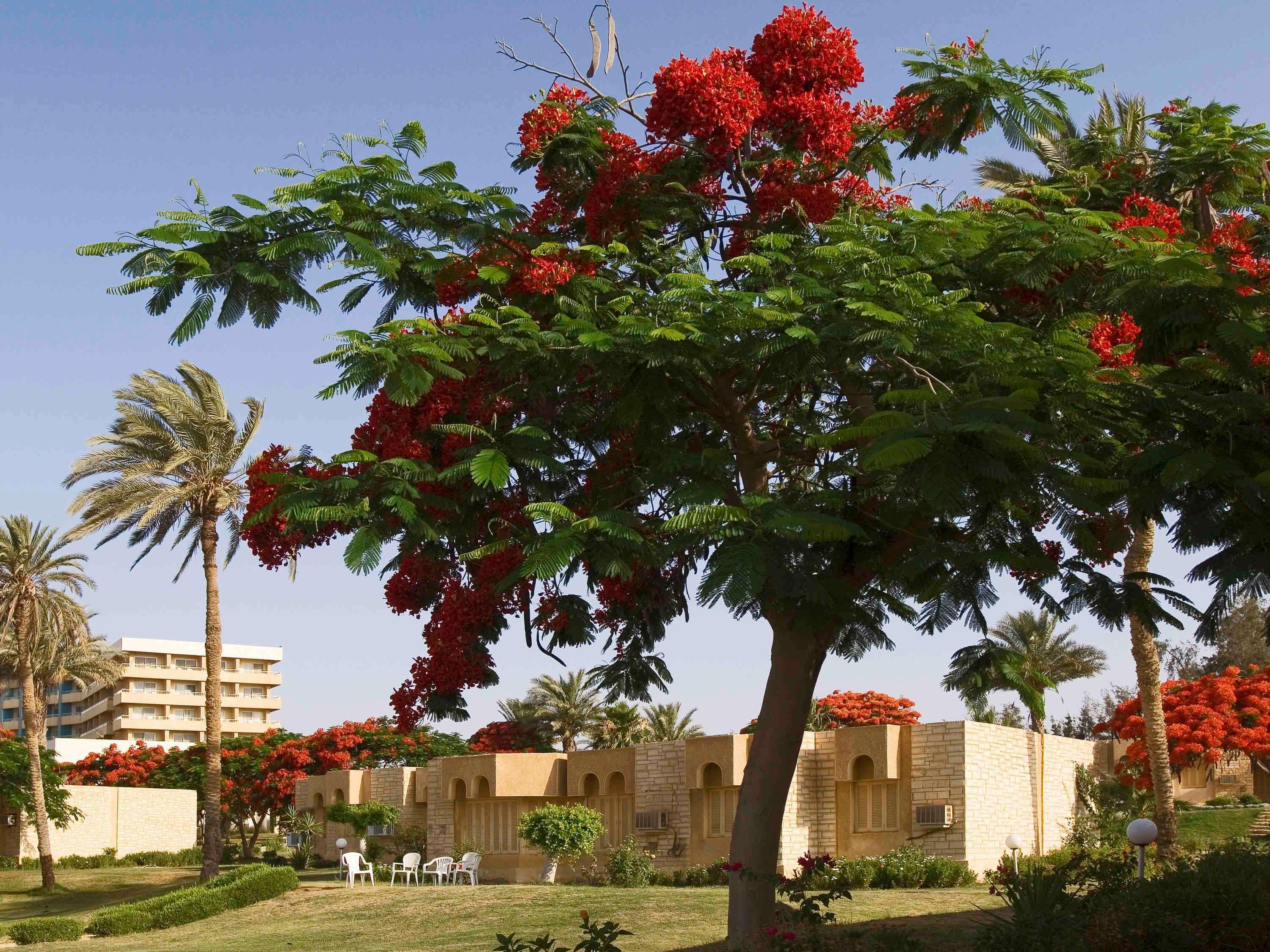 Mercure Ismailia Forsan Island Dış mekan fotoğraf