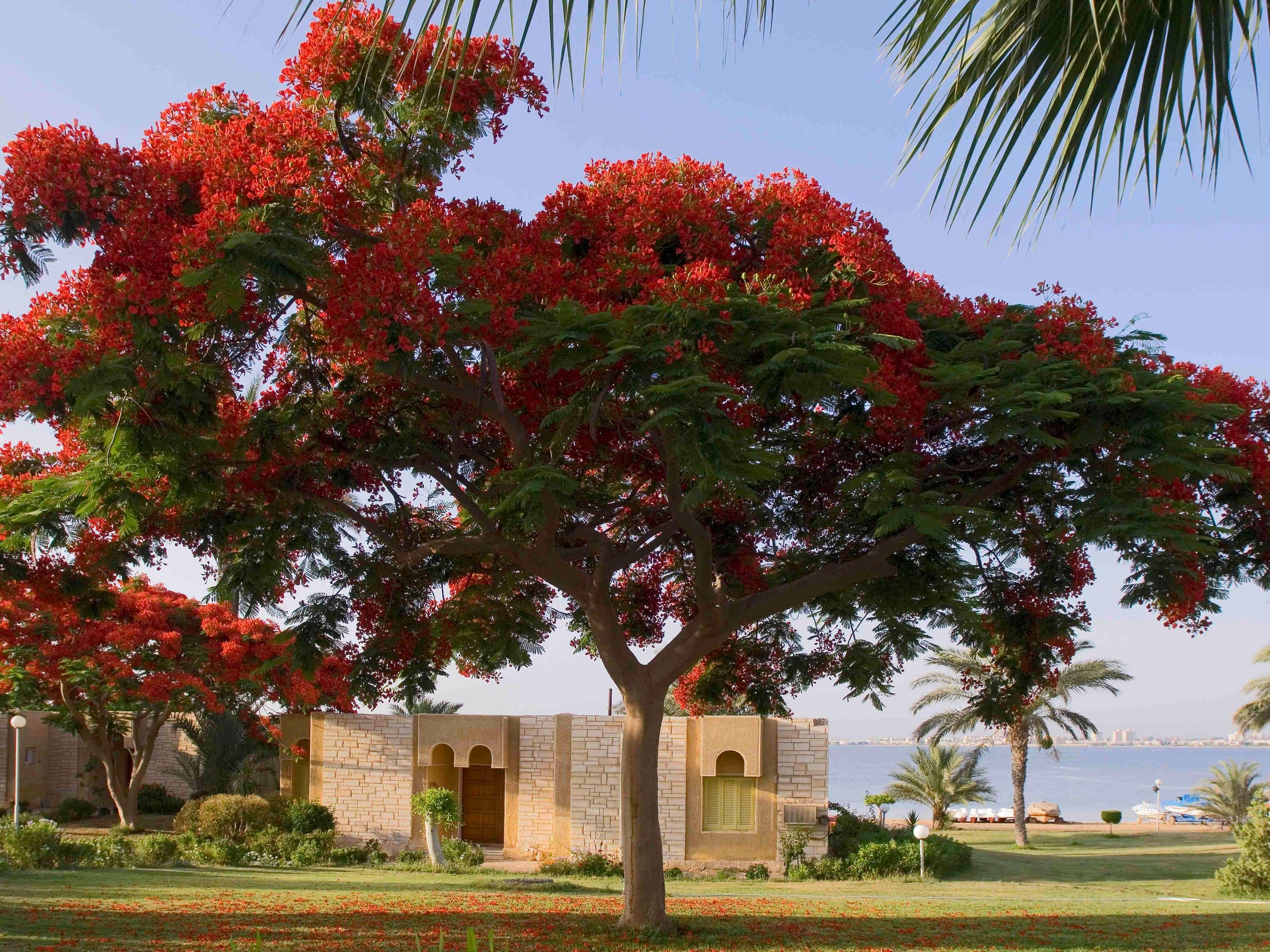 Mercure Ismailia Forsan Island Dış mekan fotoğraf